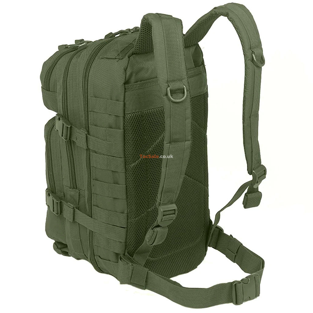 MIL-TEC US ASSAULT 20L BACKPACK after one month review, what all gear fit  inside 